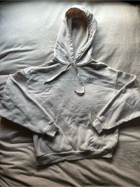 ALO Accolade Hoodie size small